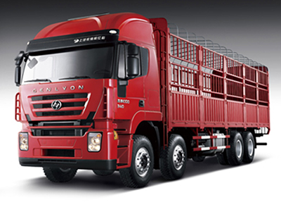 Hongyan Genlyon 8×4 Cargo Truck