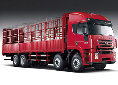 8×4 Euro III Cargo Truck (Kingkan)